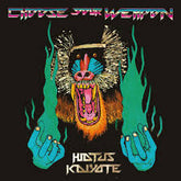 Hiatus Kaiyote - Choose Your Weapon 2LP (Colored Vinyl)