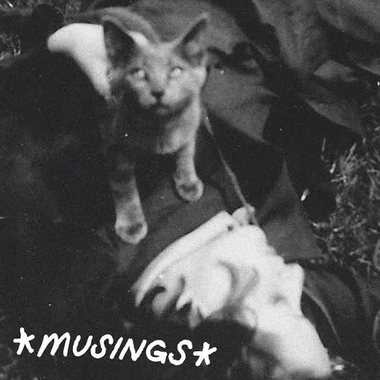 Musings - Vol 2 CASSETTE (Clear Green Cassette)