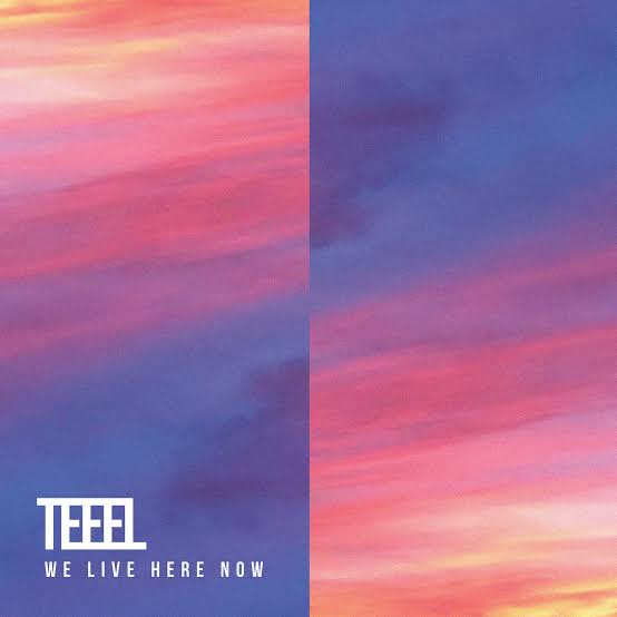 Teeel - We Live Here Now LP