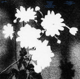 Loma Prieta - Last LP