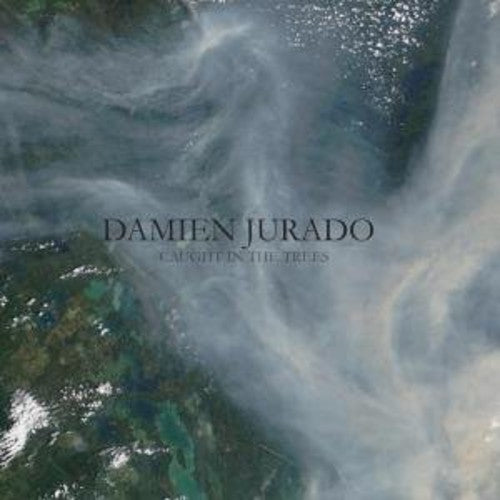 Damien Jurado - Caught In The Trees LP