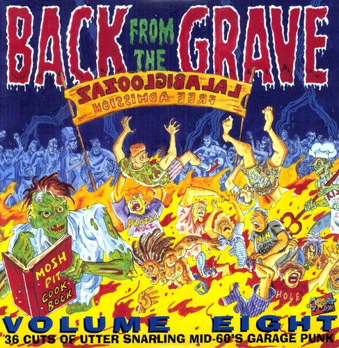 V/A - Back From The Grave Volume 8 2LP (Mid 60's Garage Punk)