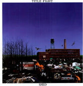 Title Fight - Shed LP