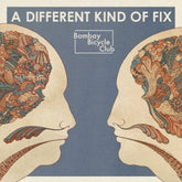 Bombay Bicycle Club - A Different Kind Of Fix LP