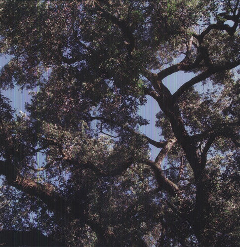 Charles Manson - Trees LP