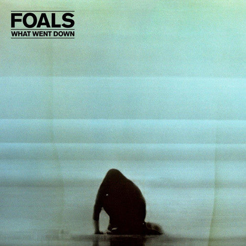 Foals - What Went Down LP (180g, Gatefold)
