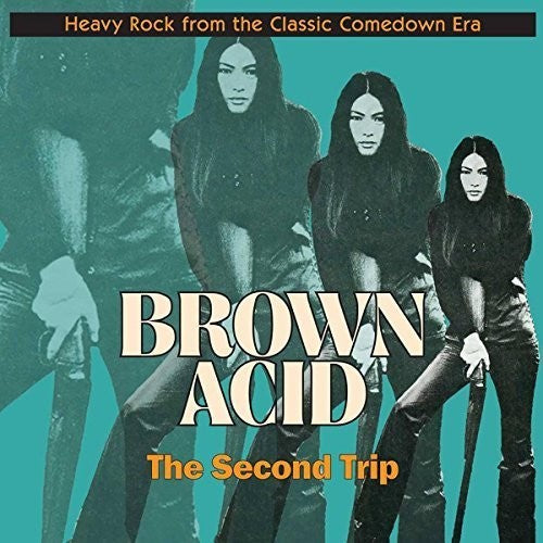 V/A - Brown Acid: The Second Trip LP