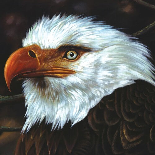 Mogwai - Hawk Is Howling LP