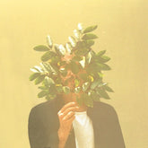 French Kiwi Juice - S/T 2LP