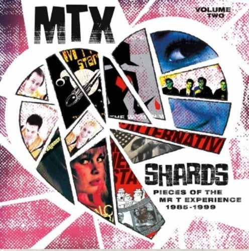 Mr. T Experience - Shards Vol. 2 LP