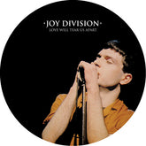 Joy Division - Love Will Tear Us Apart 12" (Picture Disc)
