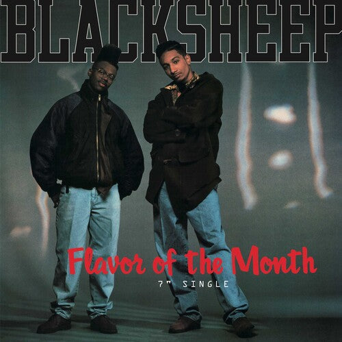 The Black Sheep - Flavor Of The Month b/w Butt...In The Meantime 7" (45rpm)