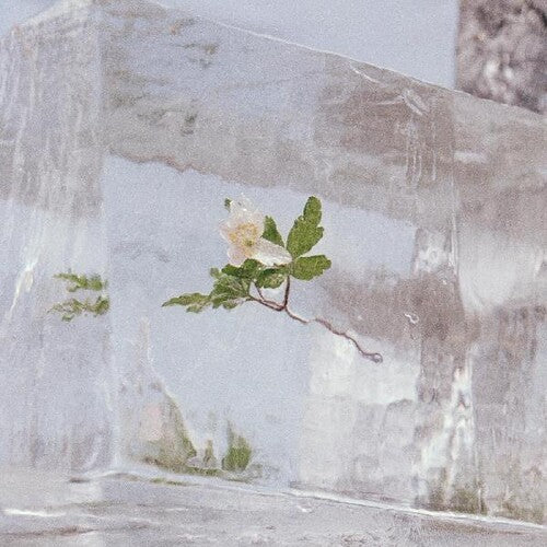 Efterklang - Windflowers LP (Clear Vinyl)