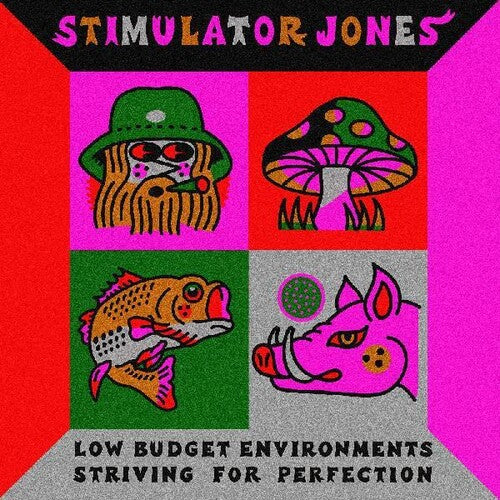 Stimulator Jones - Low Budget Environments Striving For Perfection LP
