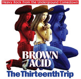 V/A - Brown Acid: The Thirteenth Trip LP