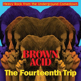 V/A - Brown Acid: The Fourteenth Trip LP