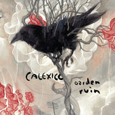 Calexico - Garden Ruin LP (Silver/White Vinyl)