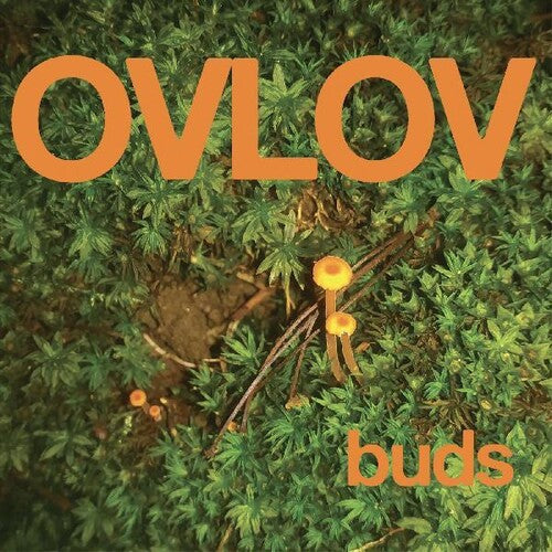 Ovlov - Buds LP (Orange Colored Vinyl)