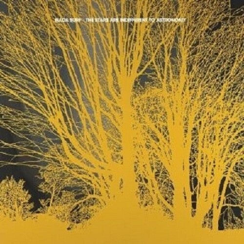 Nada Surf - Stars Are Indifferent To Astronomy LP