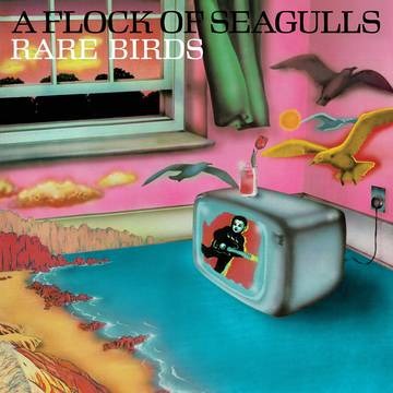 A Flock Of Seagulls - Rare Birds: B-Sides, Edits & Alternate Mixes LP (RSD 2023 Exclusive)