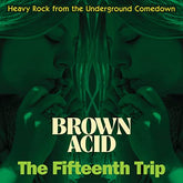 V/A - Brown Acid: The Fifteenth Trip LP