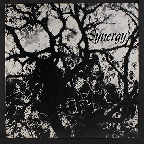 Jeff Liberman - Synergy LP (Outsider Reissue)