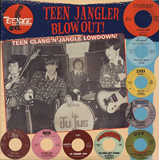 V/A - Teenage Shutdown: Teen Jangler Blowout! LP (Compilation, Reissue)