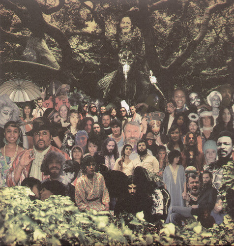 Devendra Banhart - Cripple Crow 2LP