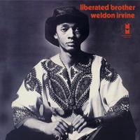 Weldon Irvine - Liberated Brother LP (Pure Pleasure 180g Limited Edition)