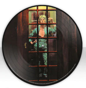 David Bowie – The Rise and Fall of Ziggy Stardust and the Spiders From Mars LP (50th Anniversary Picture Disc, 2012 Half-Speed Remaster, Poster)