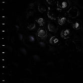 Crumb - Ice Melt LP (Gatefold)