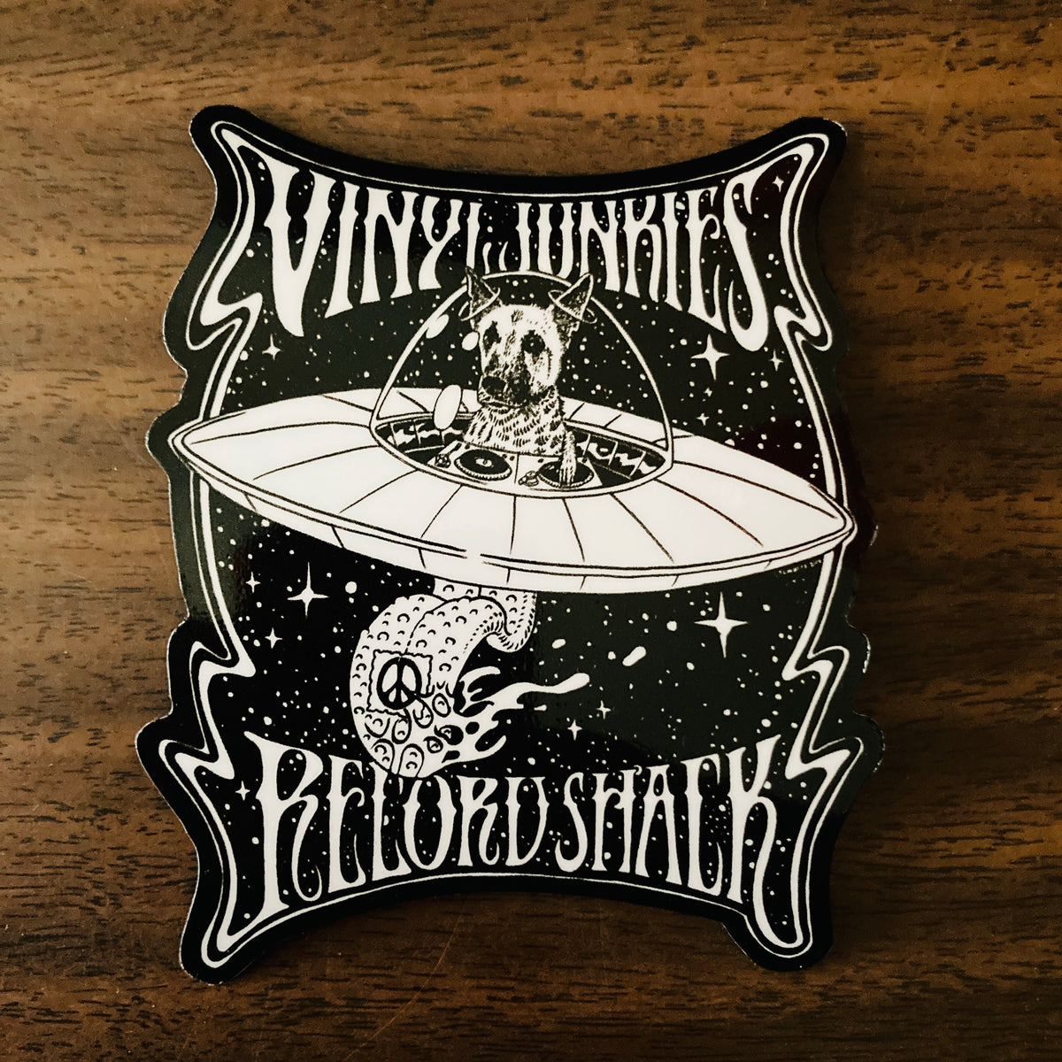 Vinyl Junkies 4" x 3" Magnet - Buddy In Space