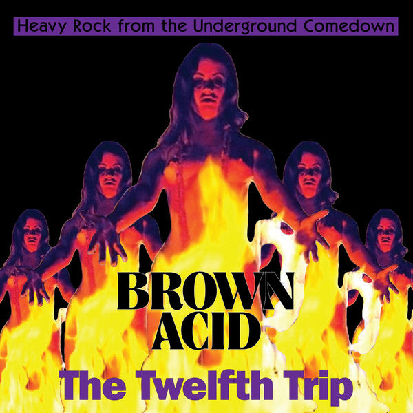 V/A - Brown Acid: The Twelfth Trip LP (Compilation, Limited Edition)