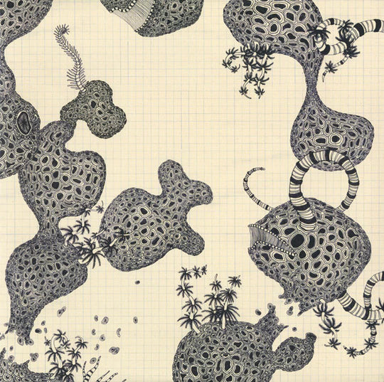 The Shins - Wincing The Night Away LP