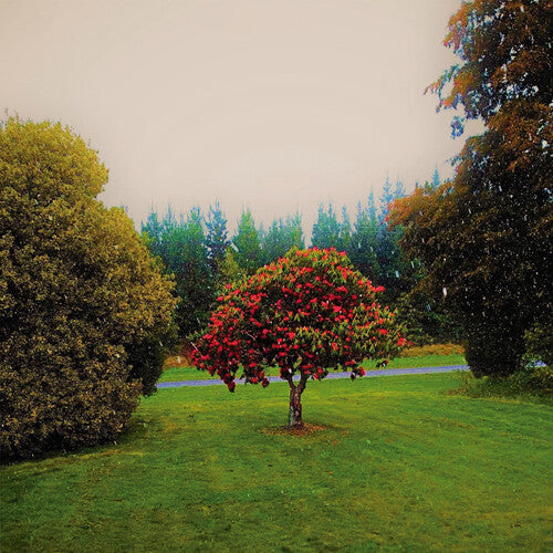 The Bats – Foothills LP