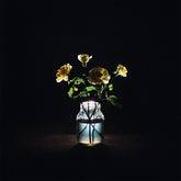 Billy Strings – Renewal 2LP (180g, Gatefold)
