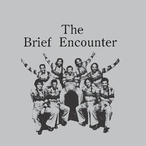 The Brief Encounter - Introducing The Brief Encounter LP (Smokey Mountain Gray Colored Vinyl)