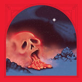 Damaged Bug – Cold Hot Plumbs LP