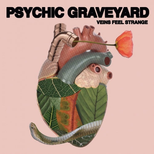 Psychic Graveyard - Veins Feel Strange LP (Pink Vinyl)