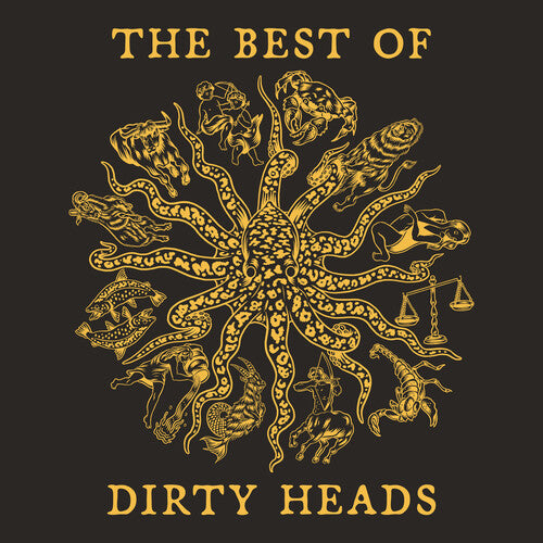 The Best Of Dirty Heads 2LP (Fools gold colored vinyl, Gatefold jacket)