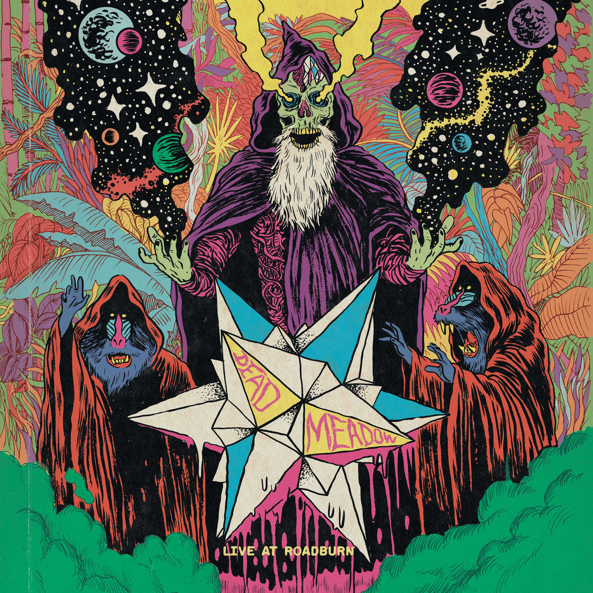 Dead Meadow - Live At Roadburn 2011 LP