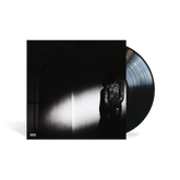 Destroy Lonely - No Stylist LP