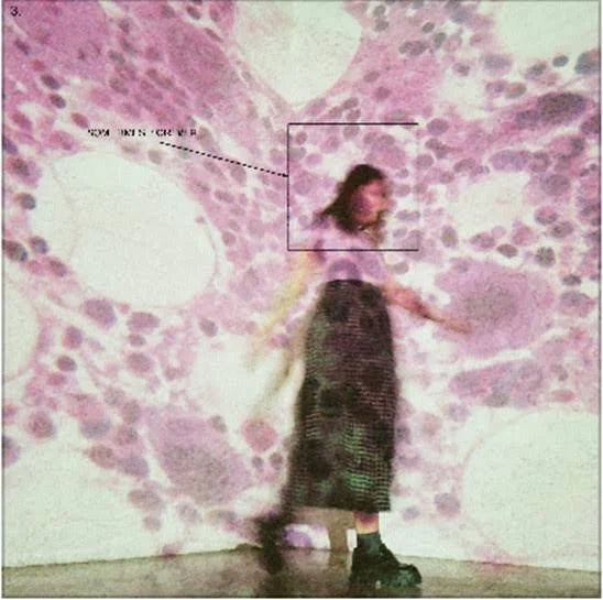 Soccer Mommy - Sometimes, Forever LP (Pink Vinyl)