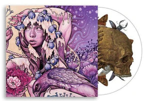 Baroness – Try To Disappear 12" (Picture Disc)