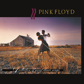 Pink Floyd – A Collection Of Great Dance Songs LP ( 180g, Remastered)