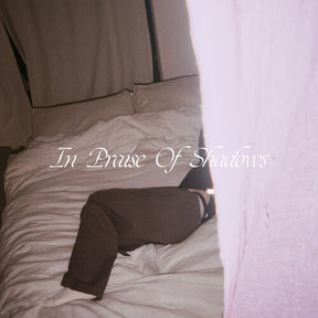 Puma Blue – In Praise Of Shadows 2LP