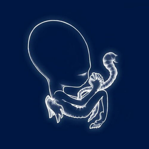 Sigur Ros – Ágætis Byrjun 2LP