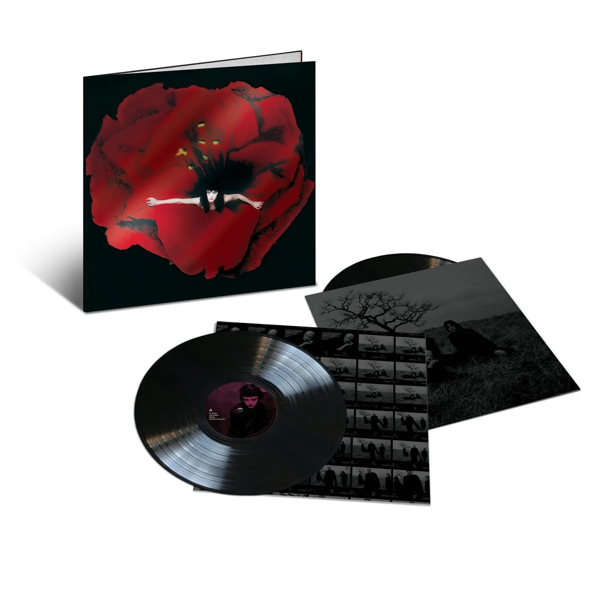 洋楽 The Smashing Pumpkins Adore LP The Smashing Pumpkins Adore 180g 2LP