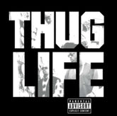 Thug Life / 2Pac - Volume 1 LP (180g)