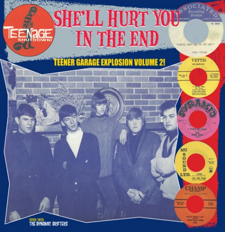 V/A - Teenage Shutdown: She'll Hurt You In The End LP (Compilation, Reissue)
